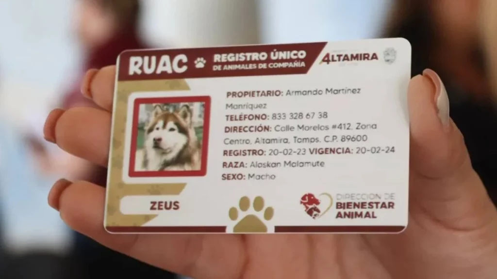 ¿Cómo tramitar la CURP para mascotas y evitar multas?