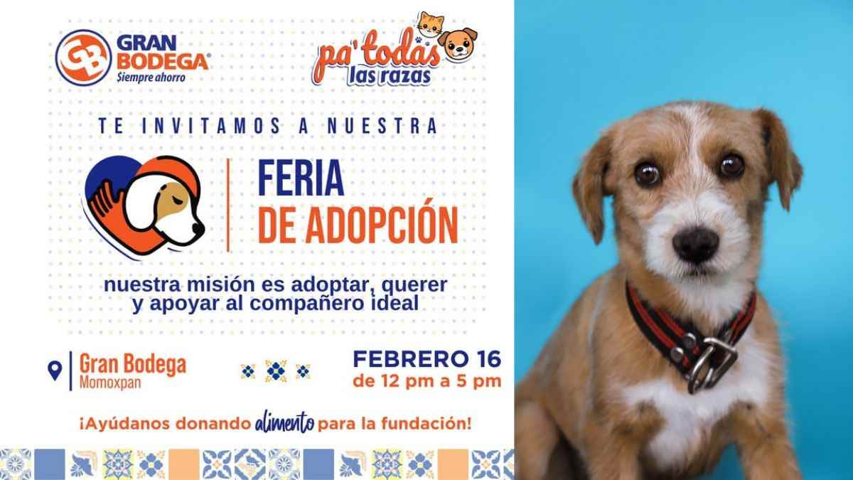 Dale hogar a un peludito: Feria de Adopción en Gran Bodega Momoxpan