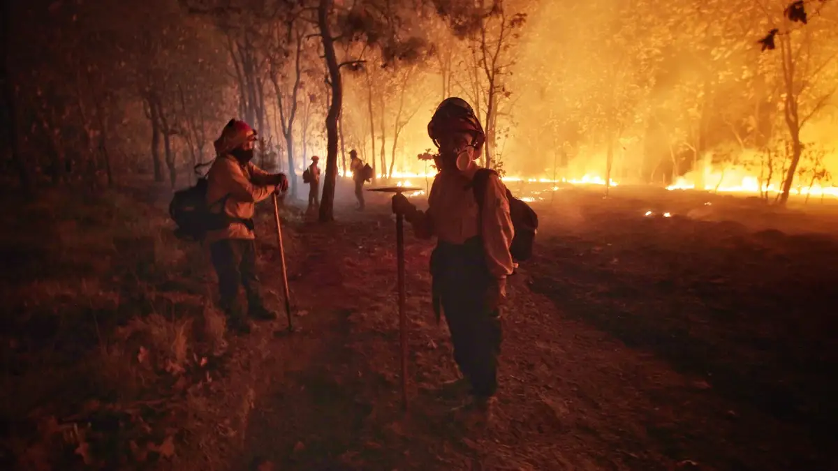 Incendio en el Bosque La Primavera pone en alerta a Jalisco